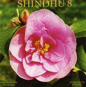 shindhu-8-3
